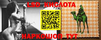 стафф Гусев