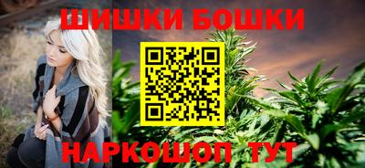 стафф Гусев