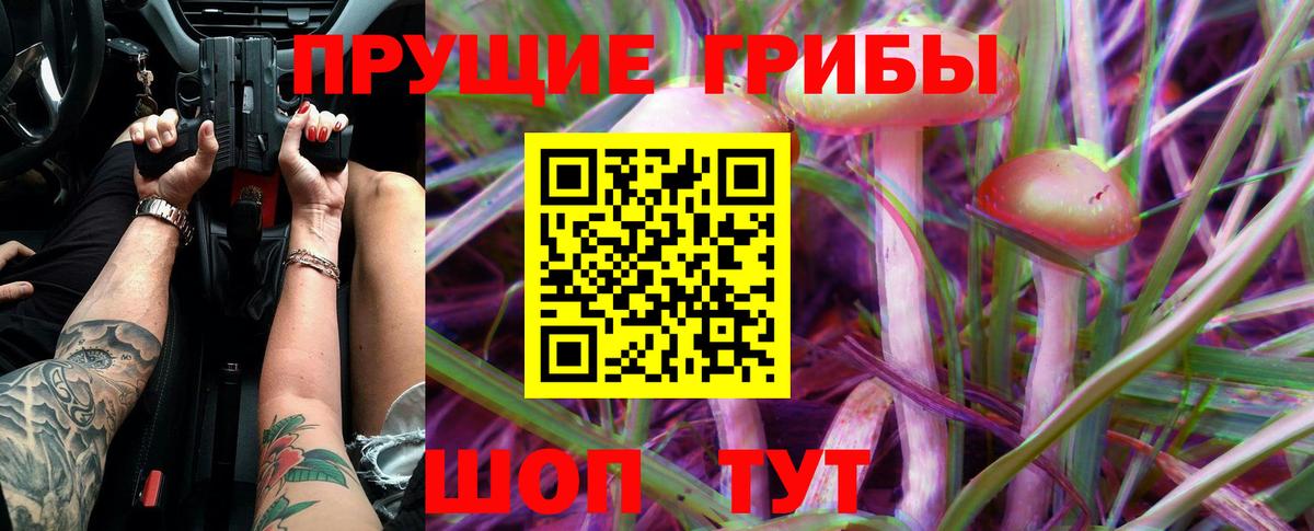Псилоцибиновые грибы Cubensis  Вход с VPN  Нарткала  Псилоцибиновые грибы прущие грибы 